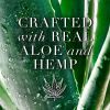 Herbal Essences Shampoo;  Aloe and Hemp;  13.5 fl oz